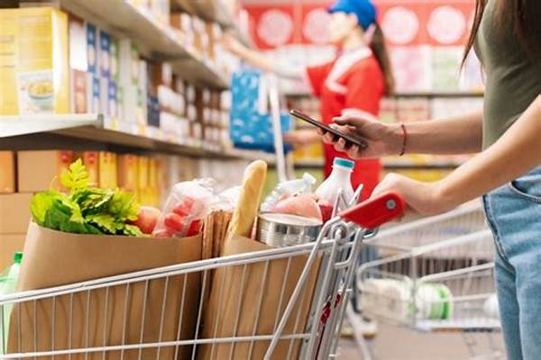 Tips Efisien Atur Belanja Sehari-hari