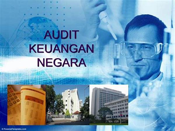 **sistem Audit Keuangan Negara**